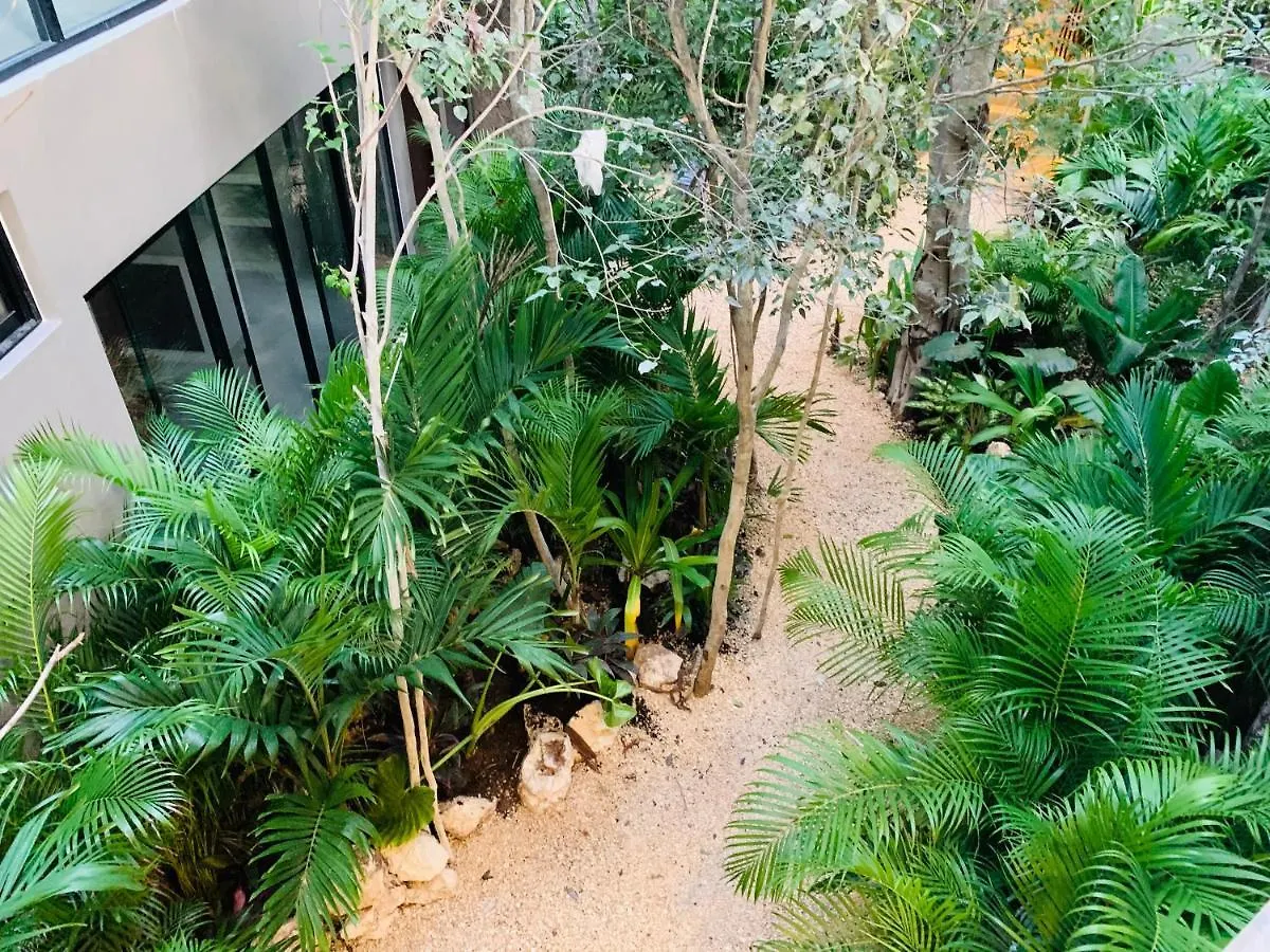 아파트 Vida Boho Apart 12 With Special Fee To Access Hotel Bardo 툴룸 멕시코