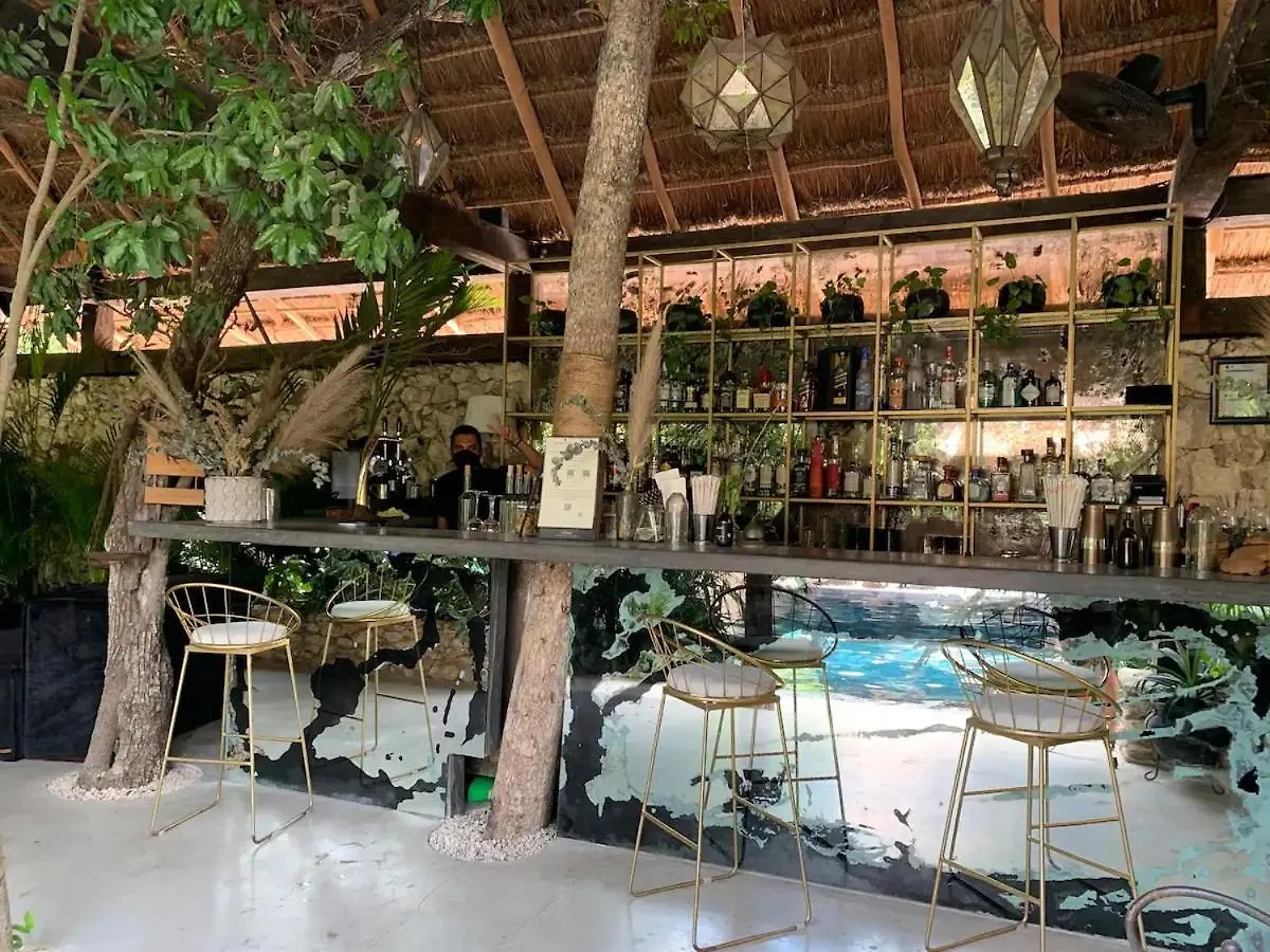 Vida Boho Apart 12 With Special Fee To Access Hotel Bardo Tulum Apartment