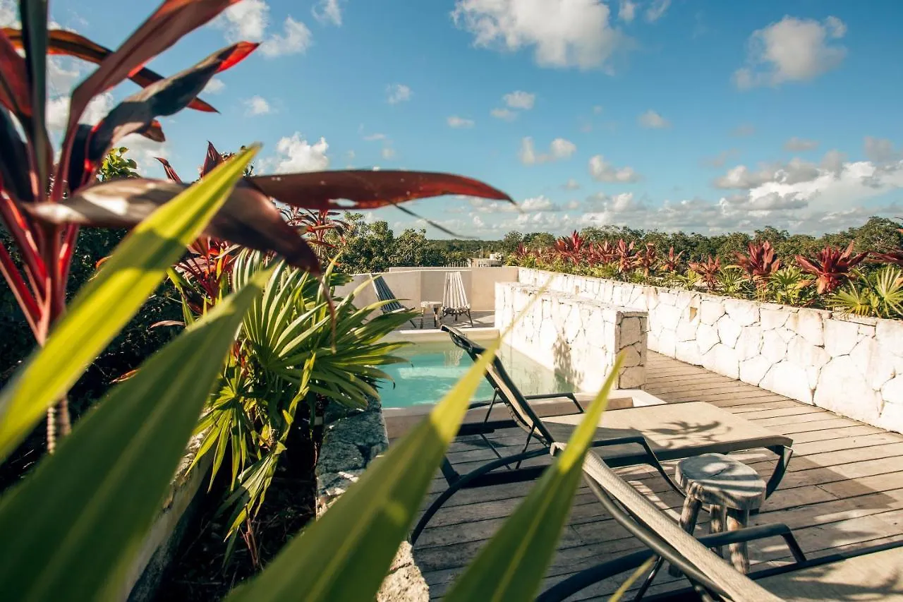 Vida Boho Apart 12 With Special Fee To Access Hotel Bardo Tulum Mexico